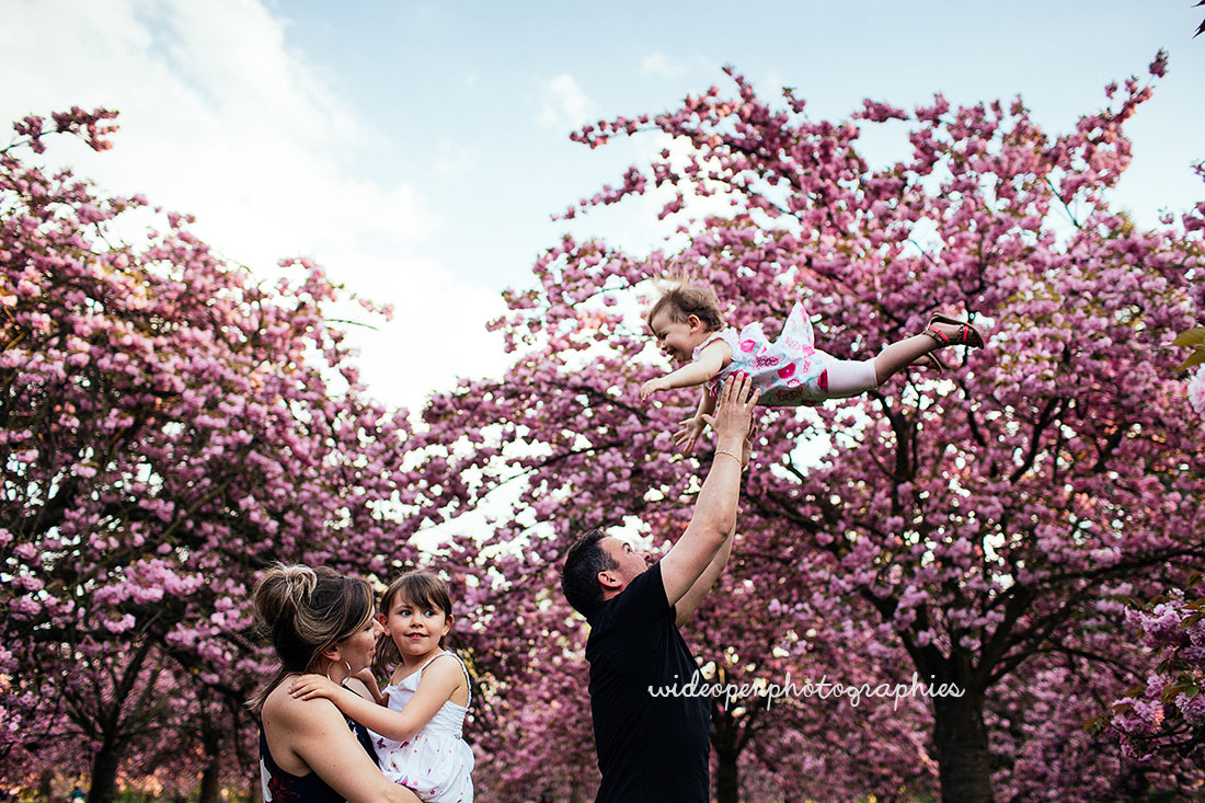 photographe cerisiers japonais paris photographe cerisiers japonais paris