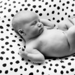 photographe bebe suisse photographe bebe suisse