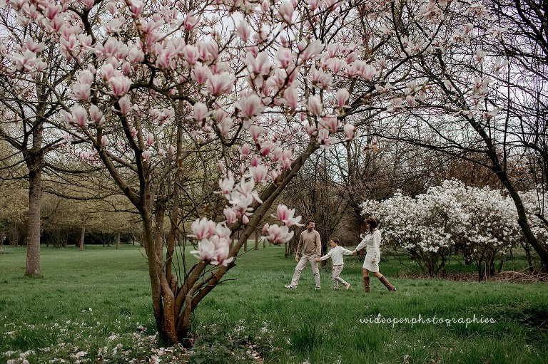 seance photo dans les magnolias près de lille