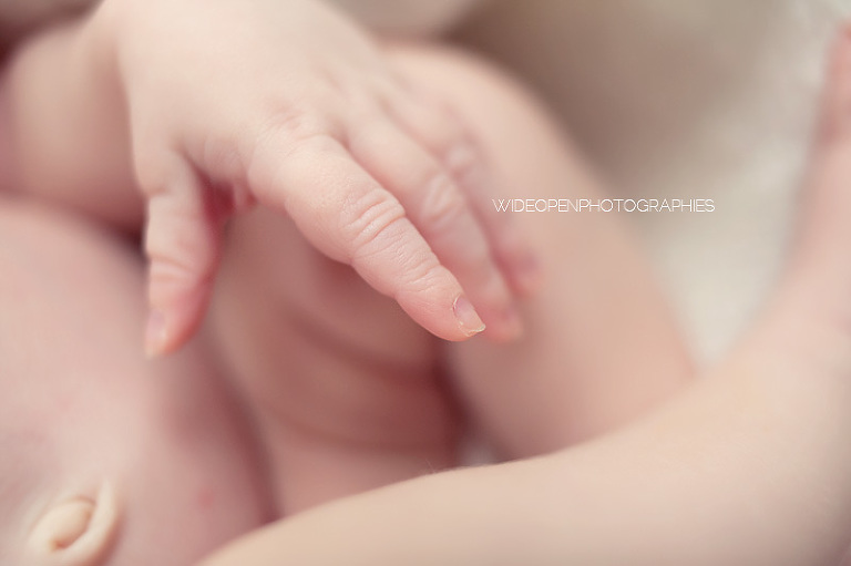 anna. wop photographe bebe nouveau ne lille 08