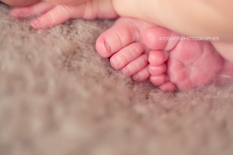 charles. wop photographe nouveau ne bebe valenciennes 12