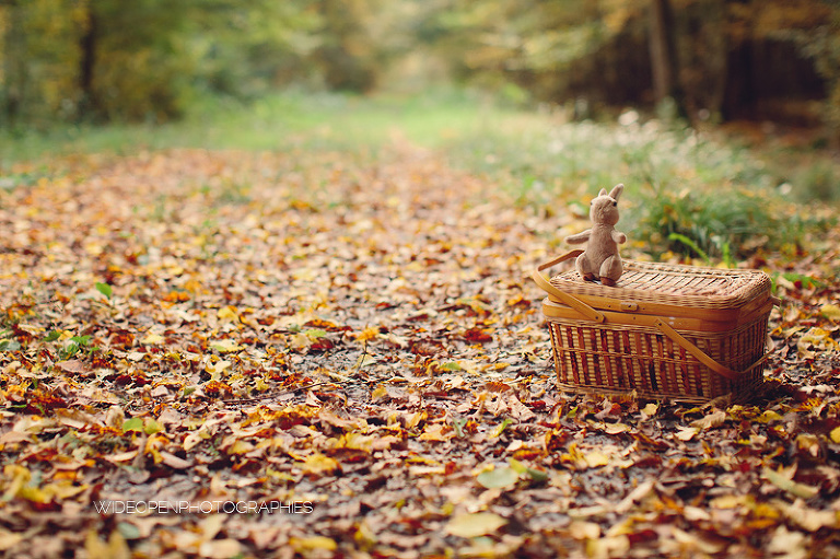 elea. seance famille automne paris 37
