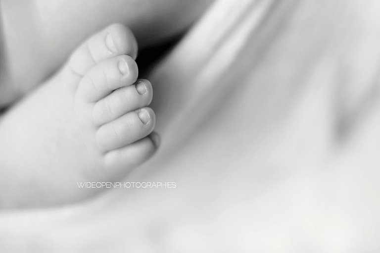 emilie. wop photographe bebe nouveau ne lille 09