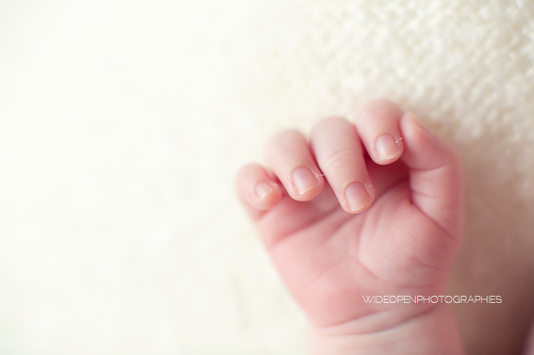 emilie. wop photographe bebe nouveau ne lille 13