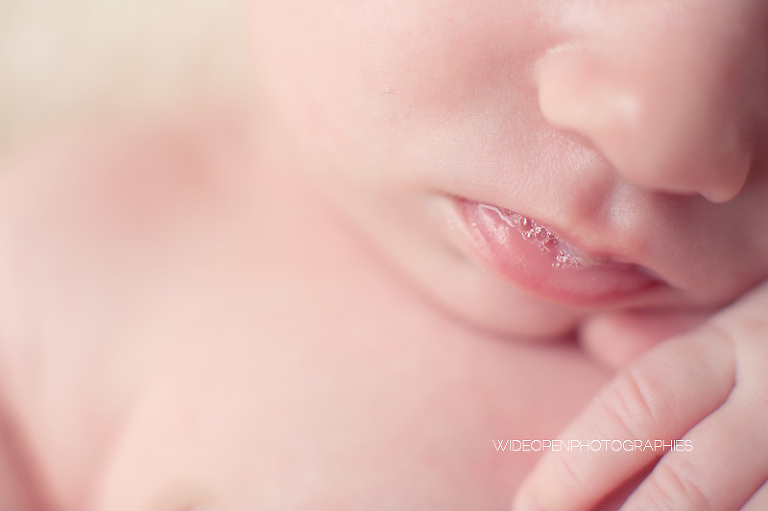 emilie. wop photographe bebe nouveau ne lille 15