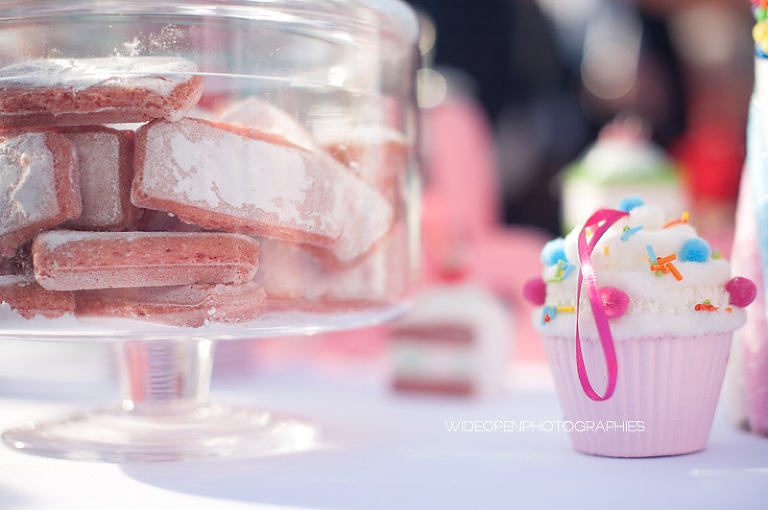 g+b. wop photographe mariage couple saint maur 072