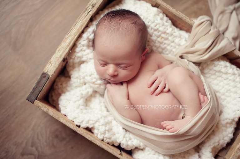 gary. wop photographe nouveau ne bebe chantilly 19