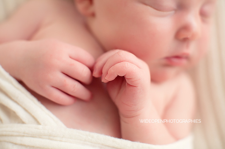 rose. wop photographe nouveau ne bebe lille 05