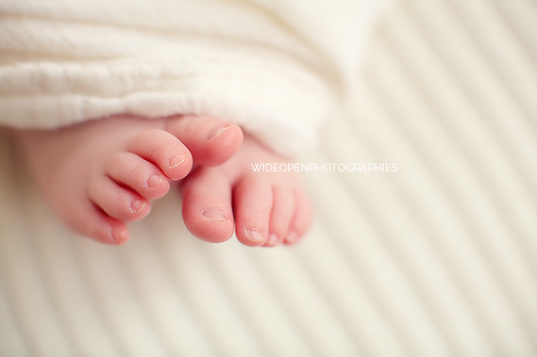 rose. wop photographe nouveau ne bebe lille 09