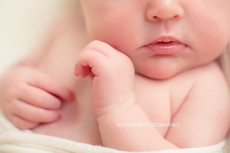 rose. wop photographe nouveau ne bebe lille 13