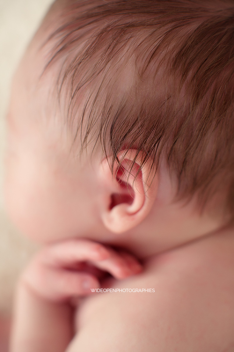 rose. wop photographe nouveau ne bebe lille 16