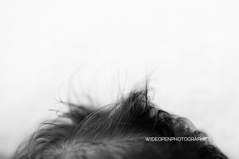 rose. wop photographe nouveau ne bebe lille 20