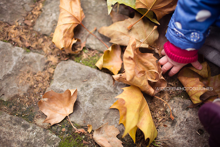 daria. wop photographe bebe paris 22