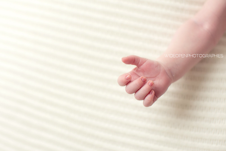 jules. wop photographe nouveau ne lille 14