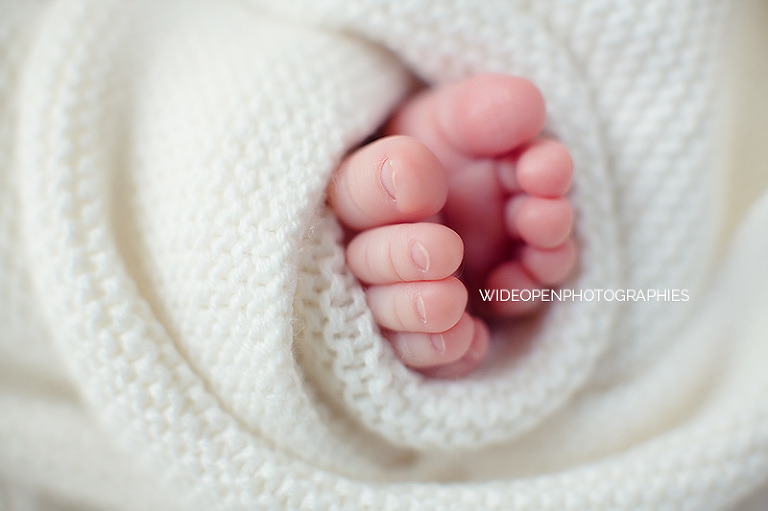 louise. seance bebe lille 06