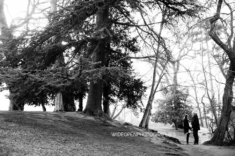 marine. seance grossesse boulogne billancourt 24