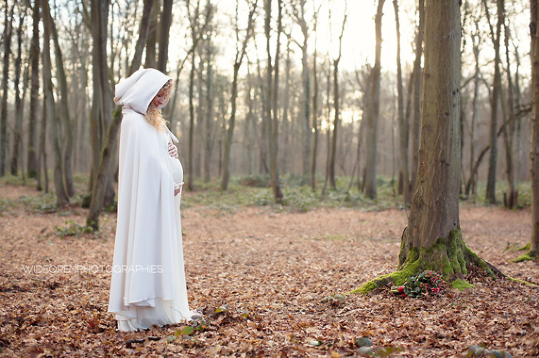 pauline. seance grossesse lille 30