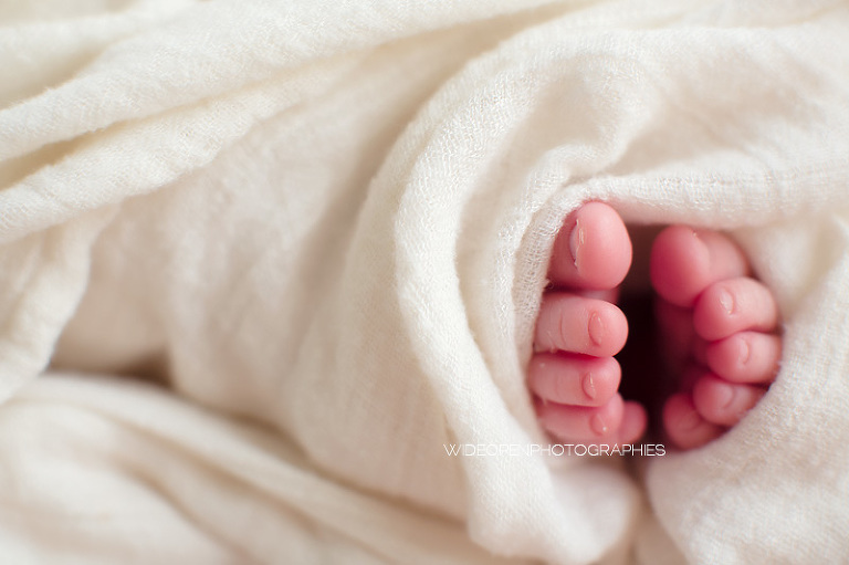 yzia. seance nouveau ne lille 05