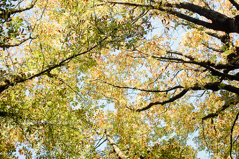 c+m. seance engagement roubaix  27