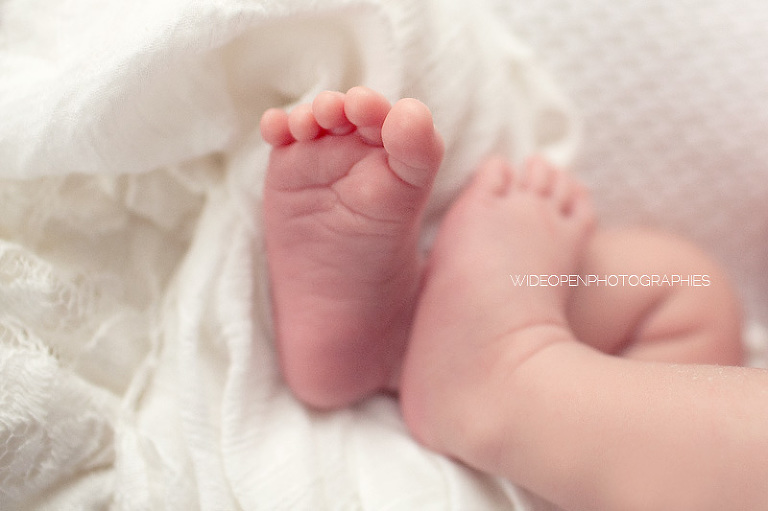 elise. seance nouveau ne lille 17