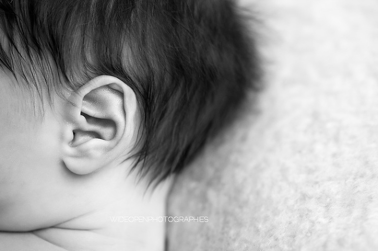 paul. seance nouveau ne lille 14