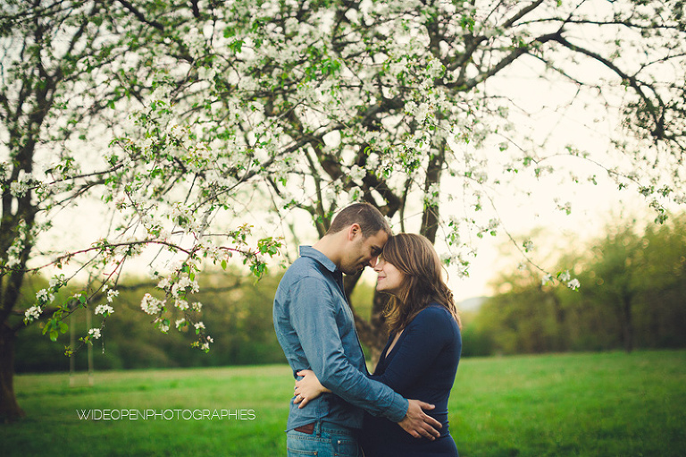 séance grossesse dans la région Lyonnaise