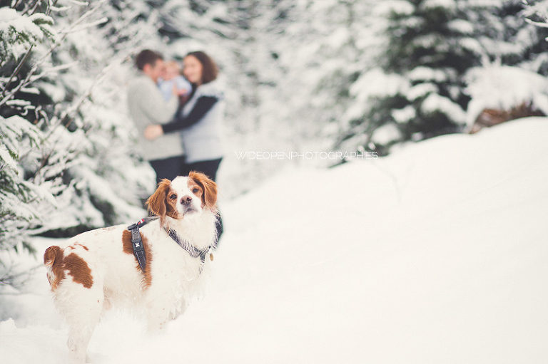 la famille A. wop photographe famille doubs 15_1