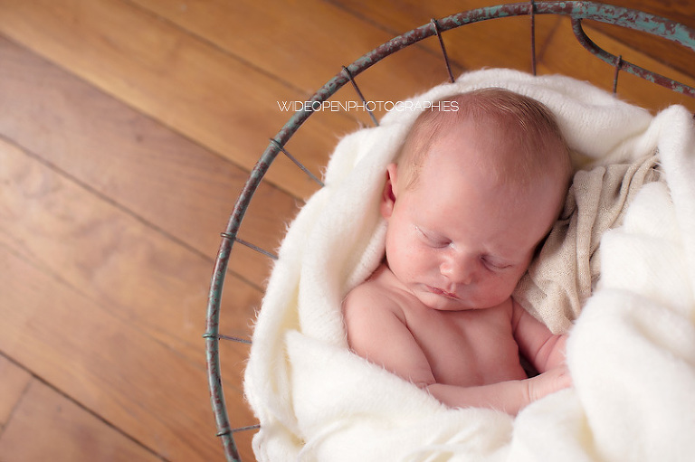 isaure. seance bebe lille 14