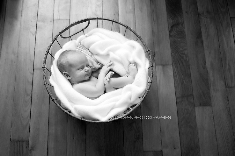 isaure. seance bebe lille 15