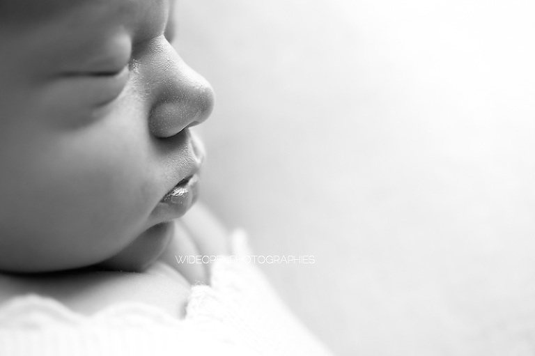 josephine. seance nouveau ne lille 11