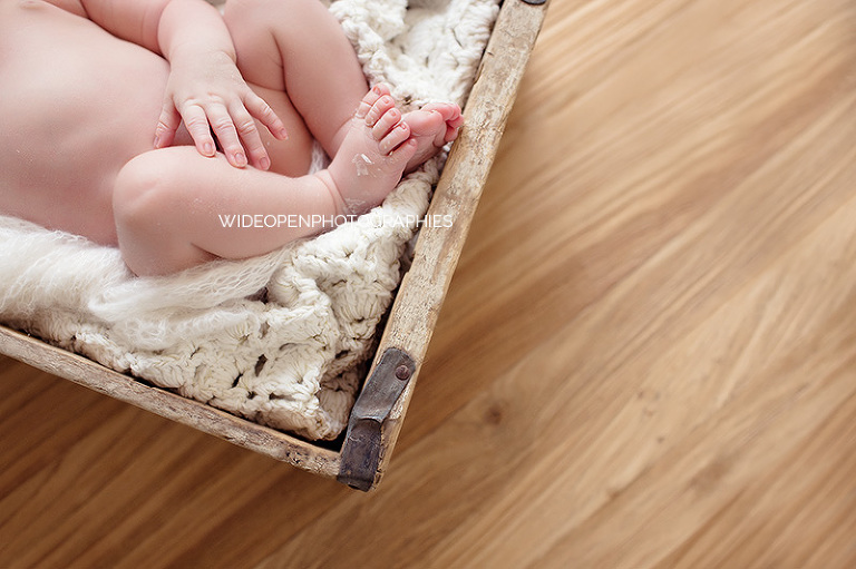 josephine. seance nouveau ne lille 19