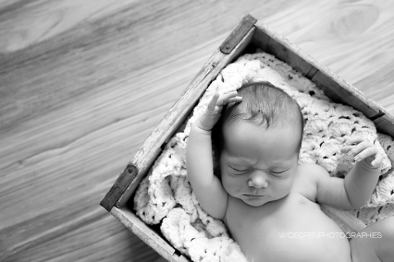 josephine. seance nouveau ne lille 20