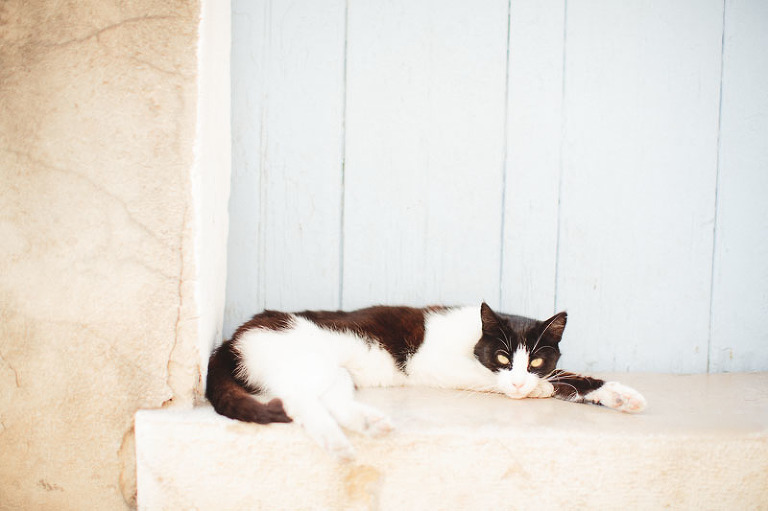 l+j. mariage marseille 145