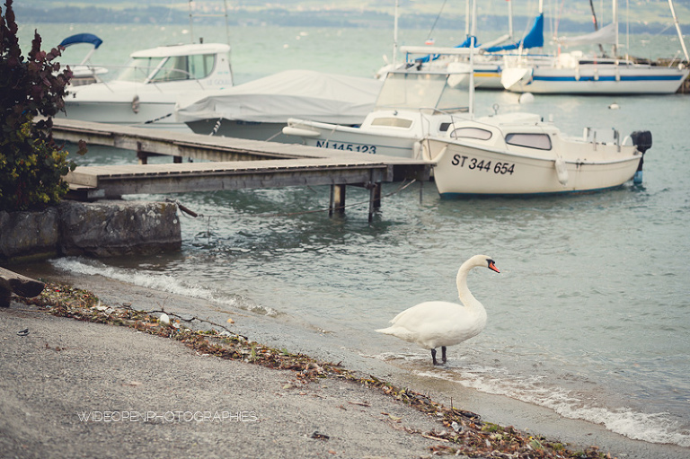 la famille C. seance famille geneve 23