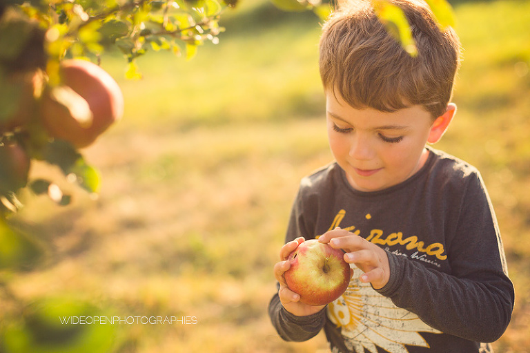 la famille M. seance famille Vienne 31