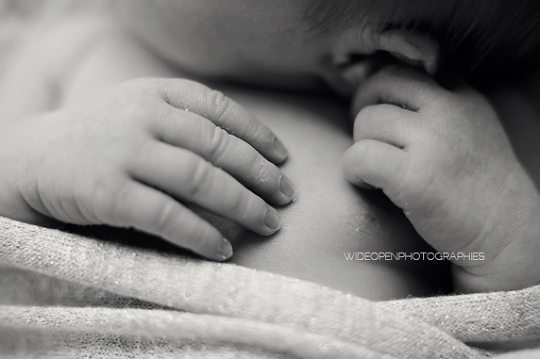 alice. wop photographe nouveau ne bebe lille 09