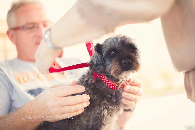 c+d. mariage montpellier mireval 052