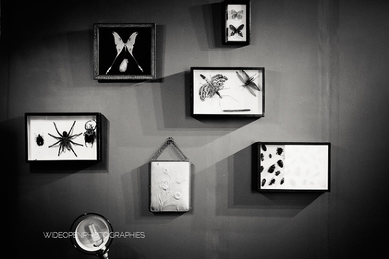 c+d. mariage montpellier mireval 097