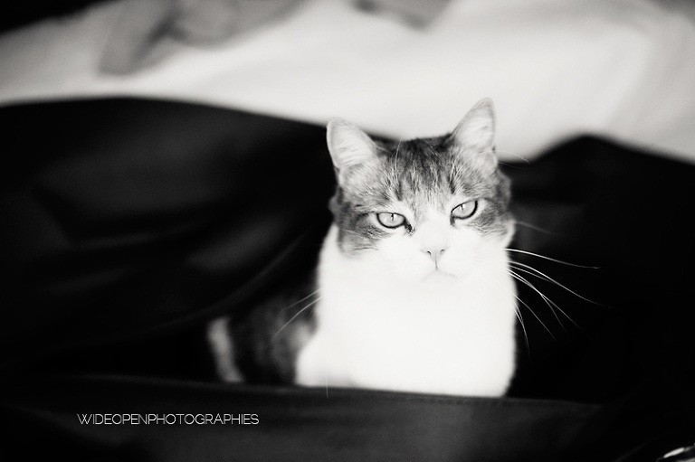 c+d. mariage montpellier mireval 116