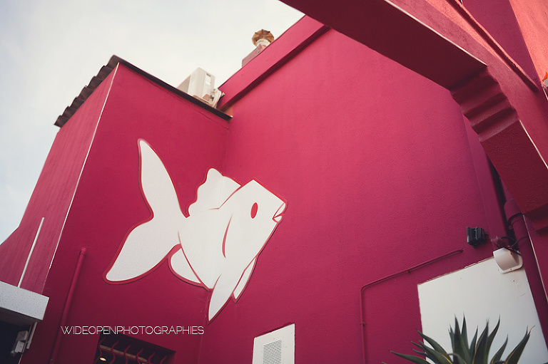 c+d. mariage montpellier mireval 197