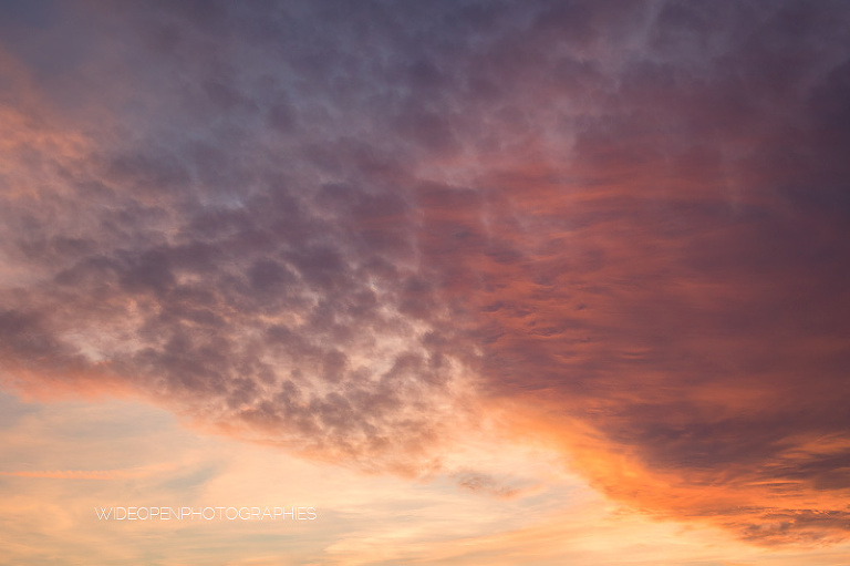 c+d. mariage montpellier mireval 243