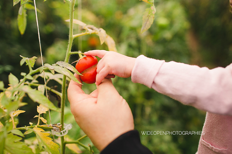 famille alsacienne.32