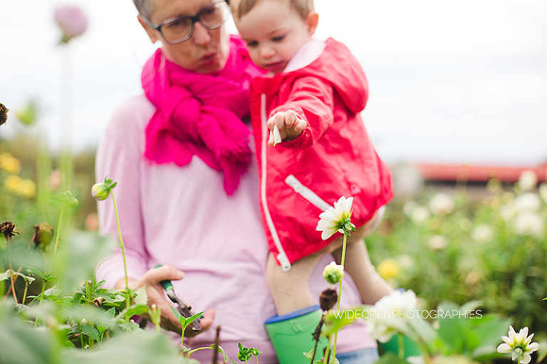 famille alsacienne.35