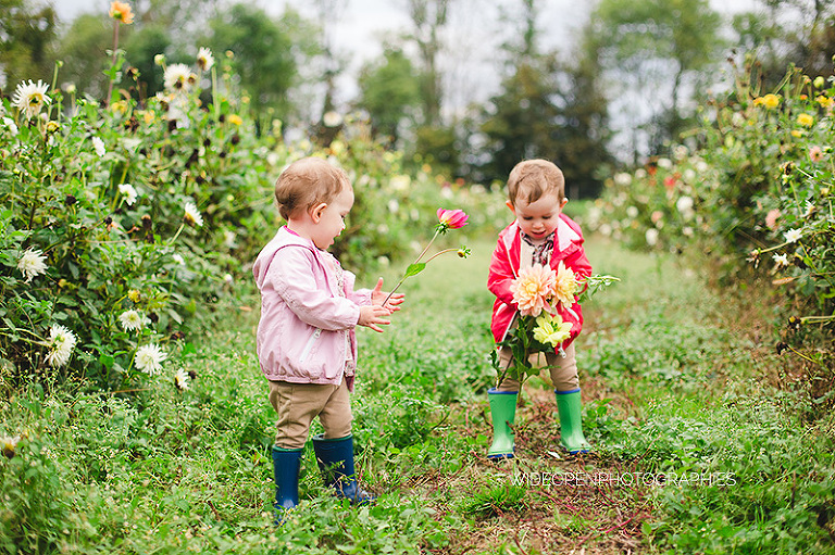 famille alsacienne.45