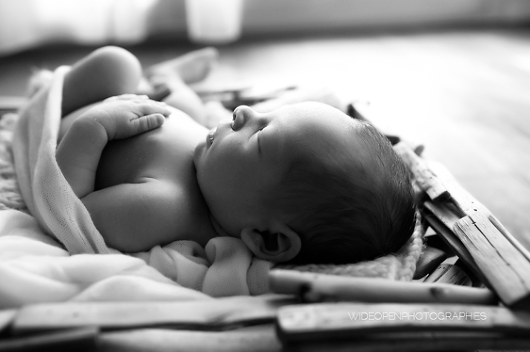 alexandre. photographe bebe paris 24