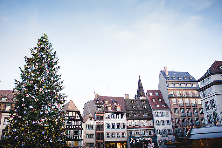 claire. photographe grossesse strasbourg 31