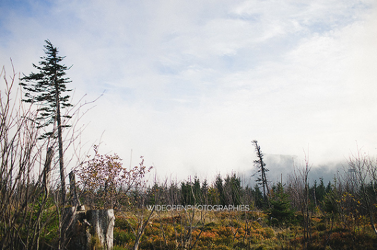 la famille B. photographe famille orbey 07