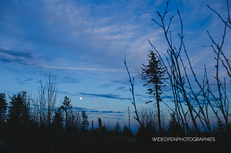 la famille B. photographe famille orbey 53