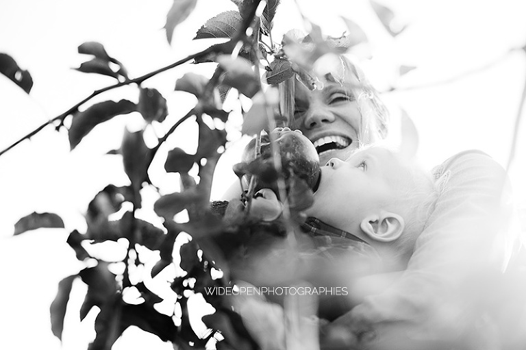 la famille LPC. photographe famille lille 22