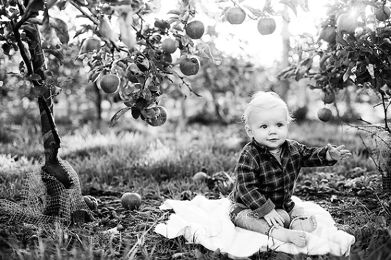 la famille LPC. photographe famille lille 23